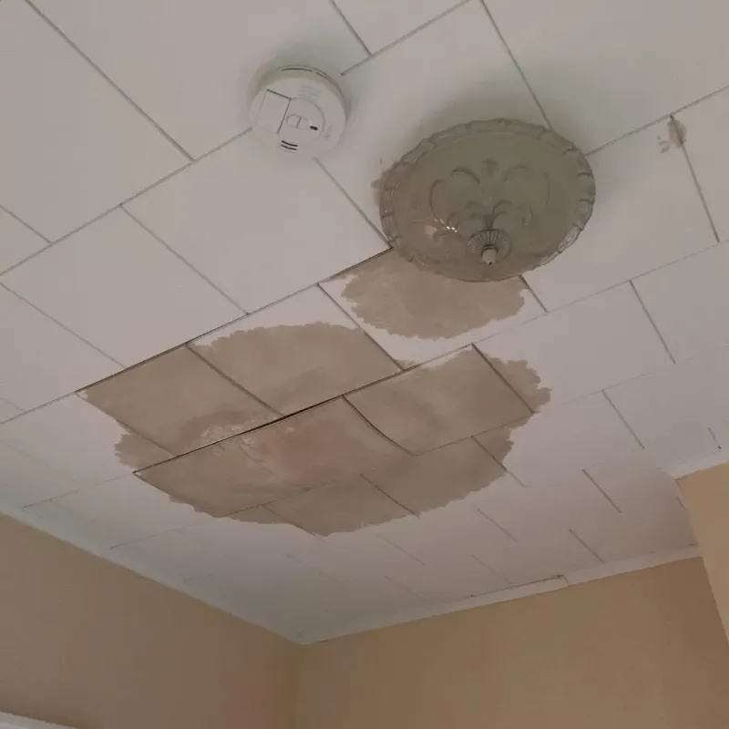 Ceiling Water Damage Repair in Perry, OK