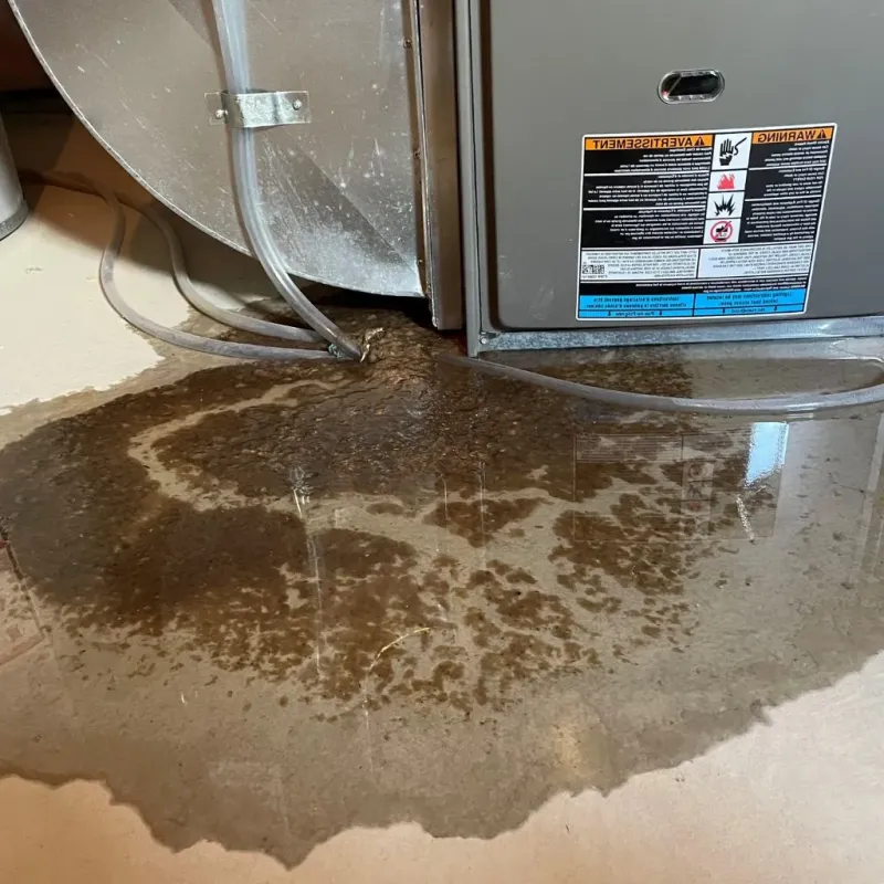 Pipe Burst and Leak Restoration in Perry, OK